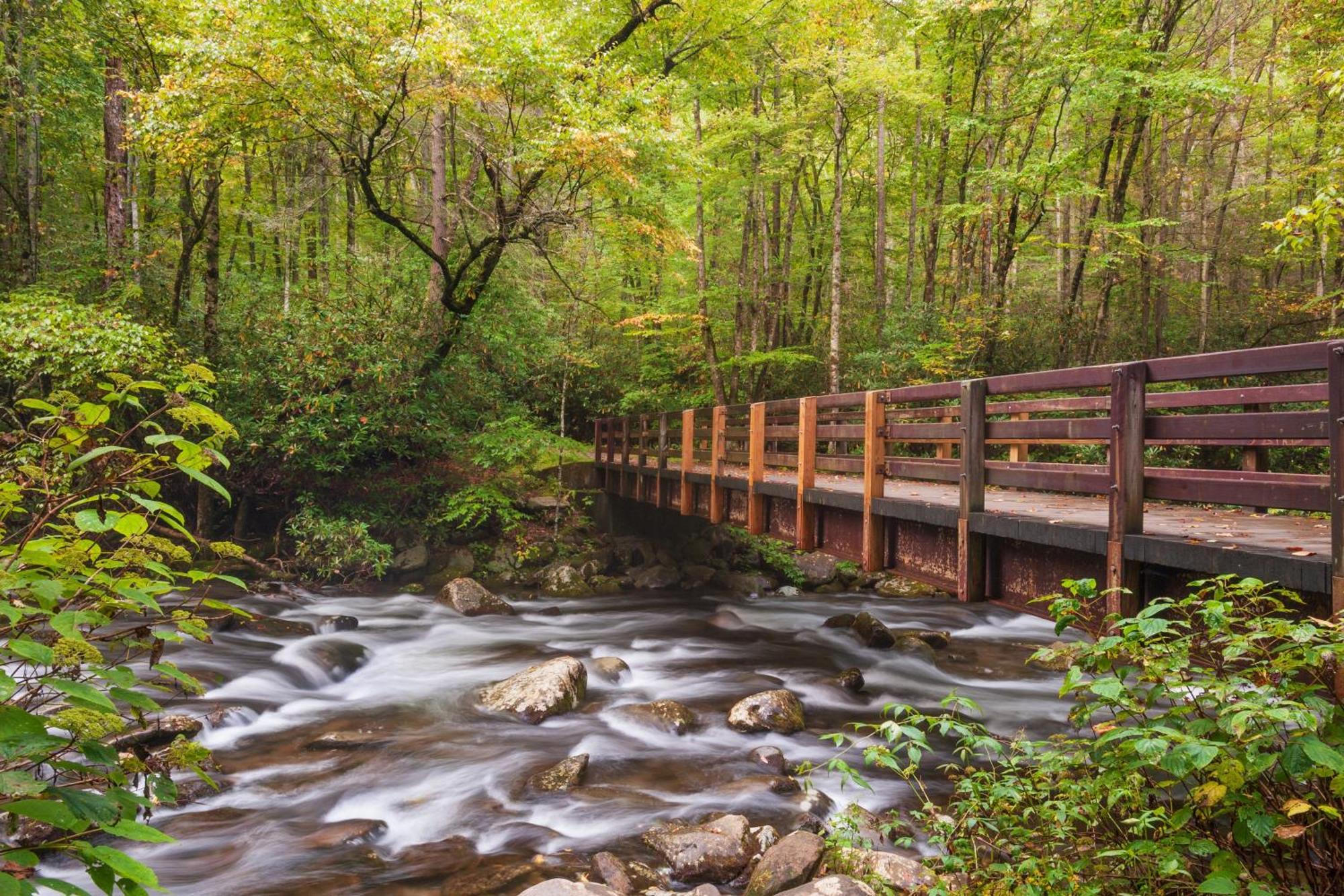 Whispering Winds, Hot Tub, Game Room, Wifi, 1089 Free Tickets Each Paid Day, Dollywood And More Гетлинбург Екстериор снимка